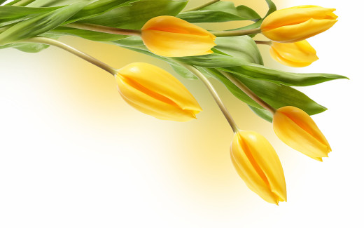 488845 (a): :2560x1600
